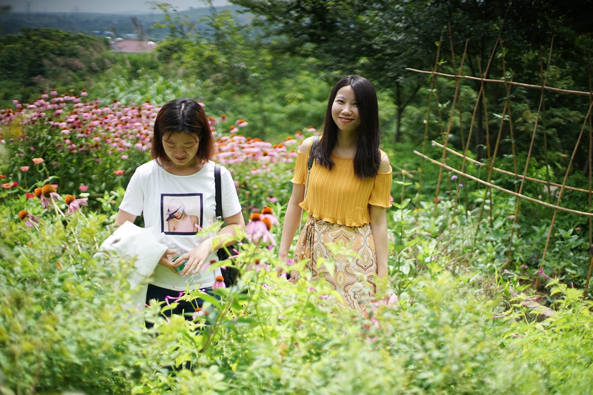 ��С��ɽ�����ũׯ���ˣ���ǰ����Ϊ�Ϸ�������˹�������ô�Ҿ�̾���䲻������������˹�����ǰ����ã�ȴҲ�����Ե������黳�����Ļ���鲼ɽҰ��ɽ���е���Ȫ�ٲ���������ƸеĽ�����ͤ�и��ŵ����Σ�ũ����ֲ�ĹϹ��߲ˣ����пɰ��������롰��ʦ�֡������еķ羰�����˳�����